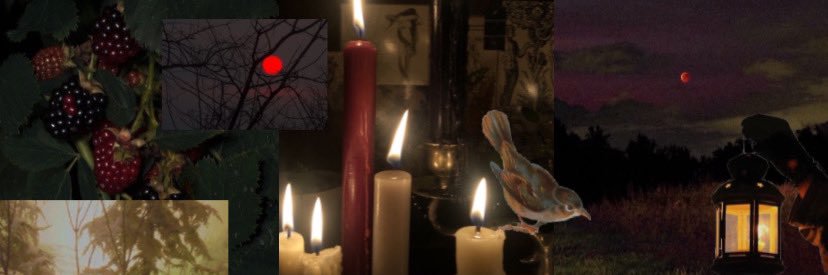 🐦‍⬛ banner