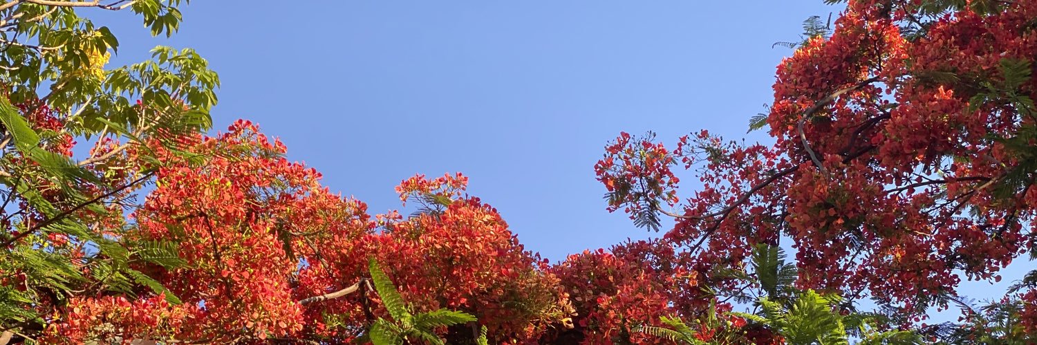 Cherry2227's profile banner image