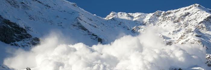 🔺 ONLY AVAX 🔺 banner