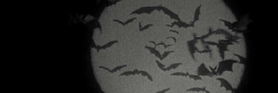 MedusaSmiles's profile banner image