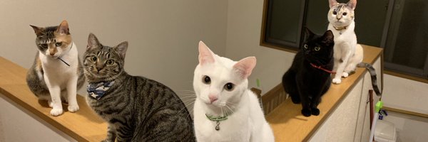 LoYi1228's profile banner image