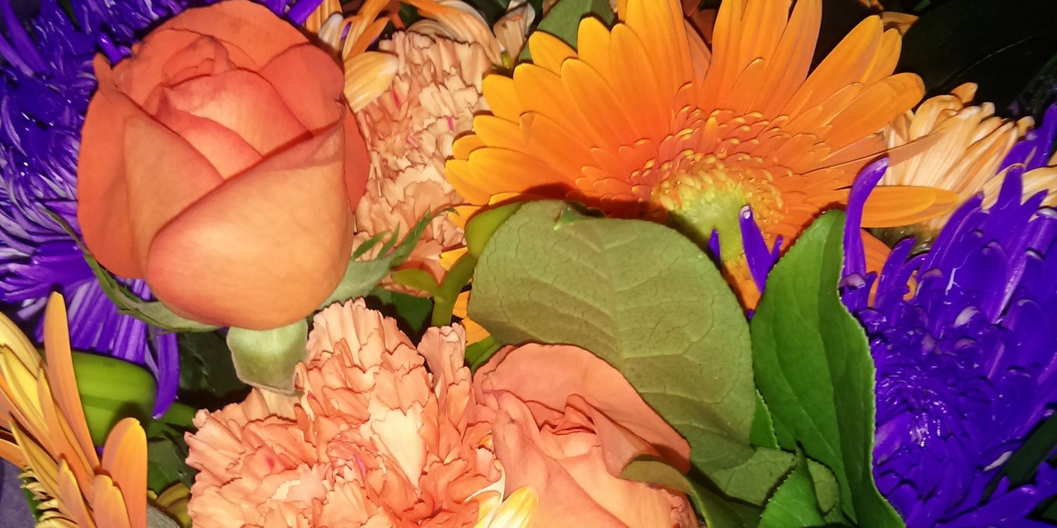 MarilyneMay's profile banner image