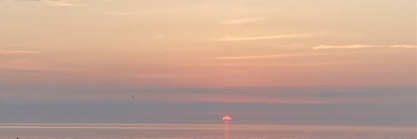 mitinaa_ Profile Banner