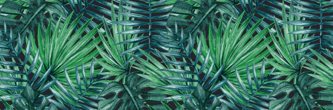 Sofguevara's profile banner image