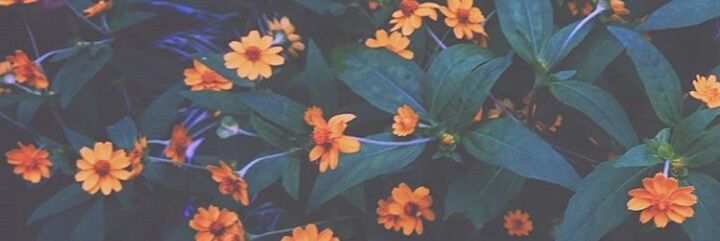 kharenjoyrea's profile banner image