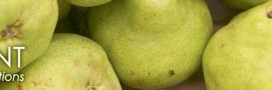 JDostine's profile banner image