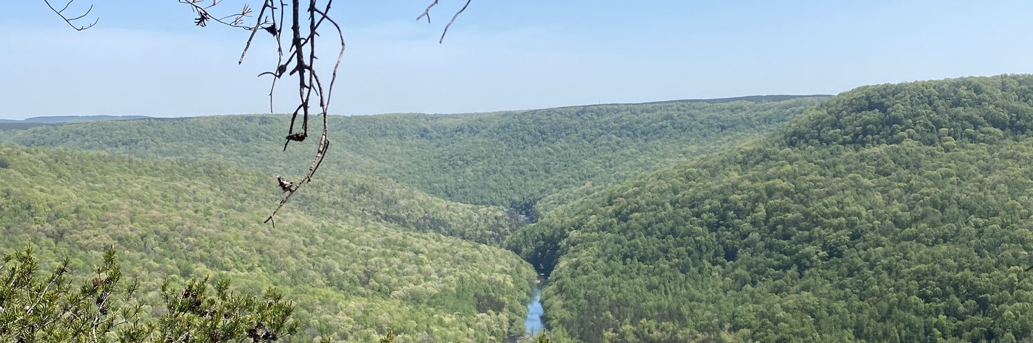 kylej_brown's profile banner image