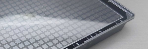 Organo_Biotech Profile Banner