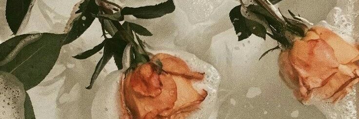 𝕞𝕖𝕝𝕠𝕔𝕠𝕥𝕠́𝕟 ˚｡⋆ banner