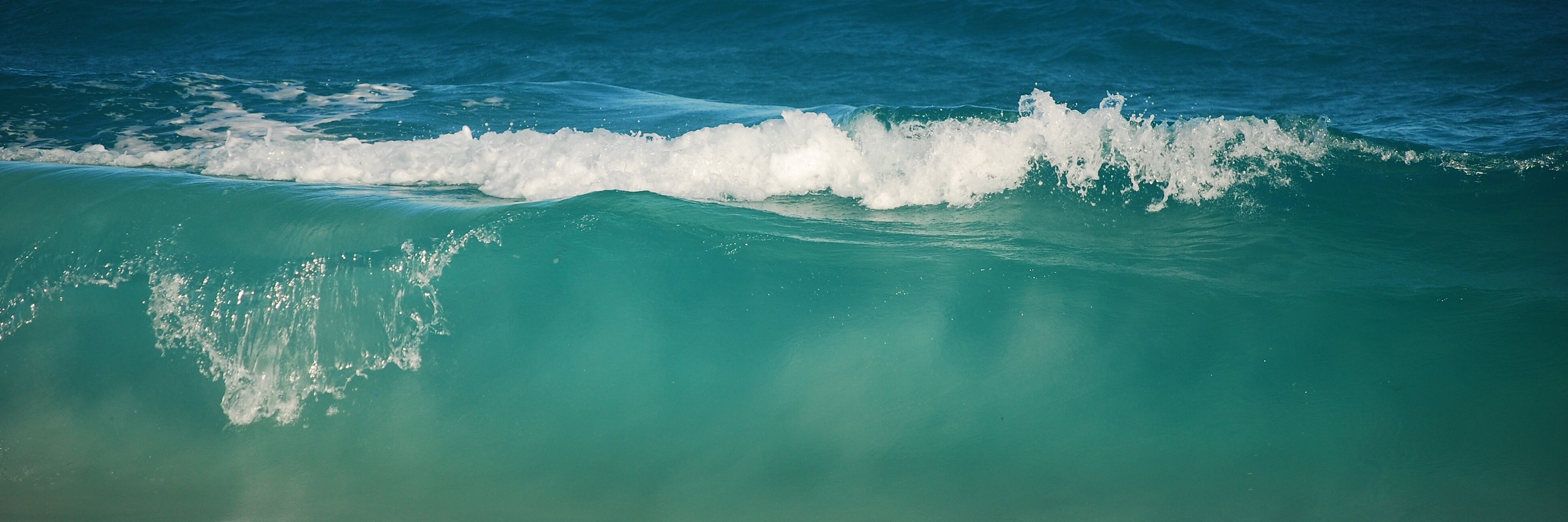 Chali's profile banner image
