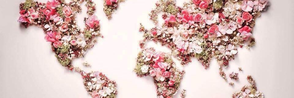 MyDollParts's profile banner image