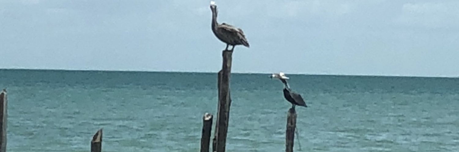 rorale75's profile banner image