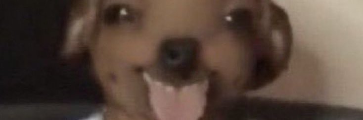 DanielaSilias's profile banner image