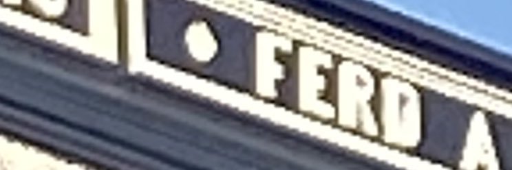 Fredrick and Ferdinand's banner