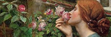 marina 🌸's banner