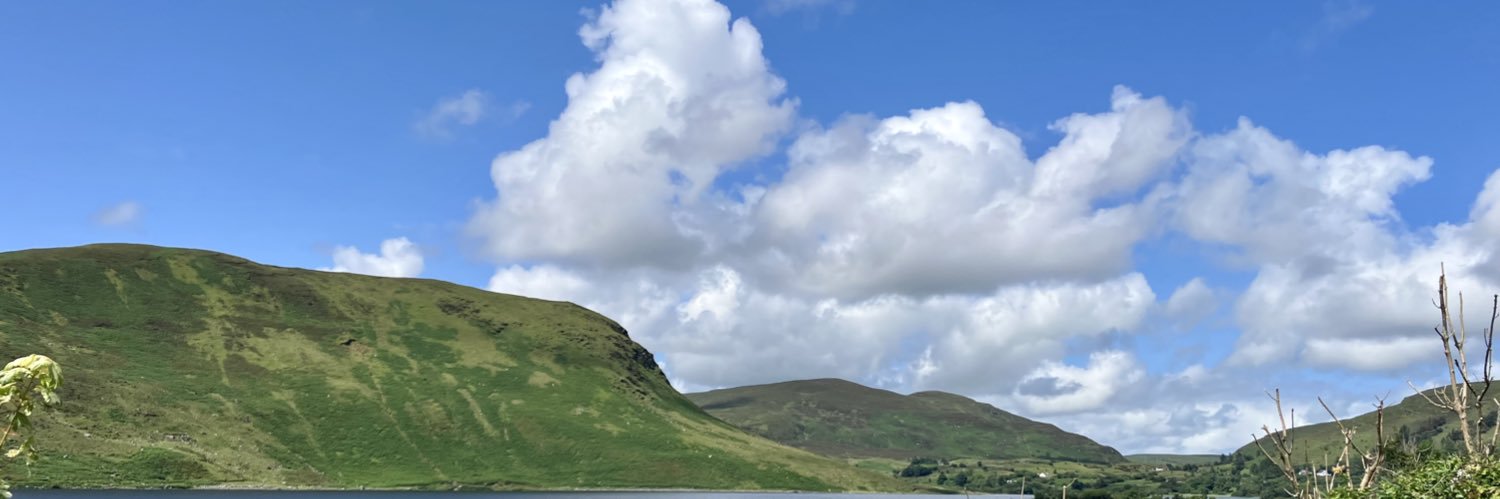 Harvey Crubbs banner