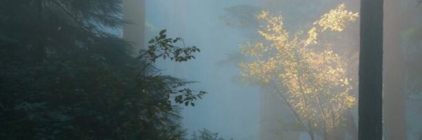 Emrah KAN banner