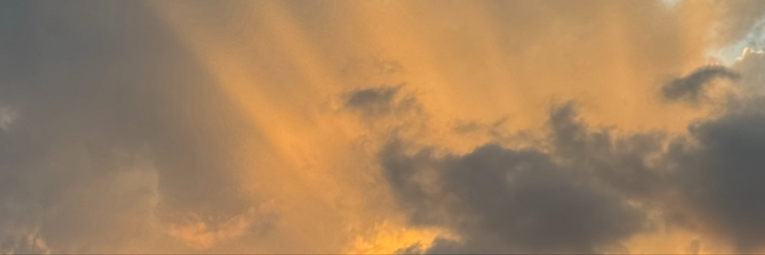 algamarinada's profile banner image