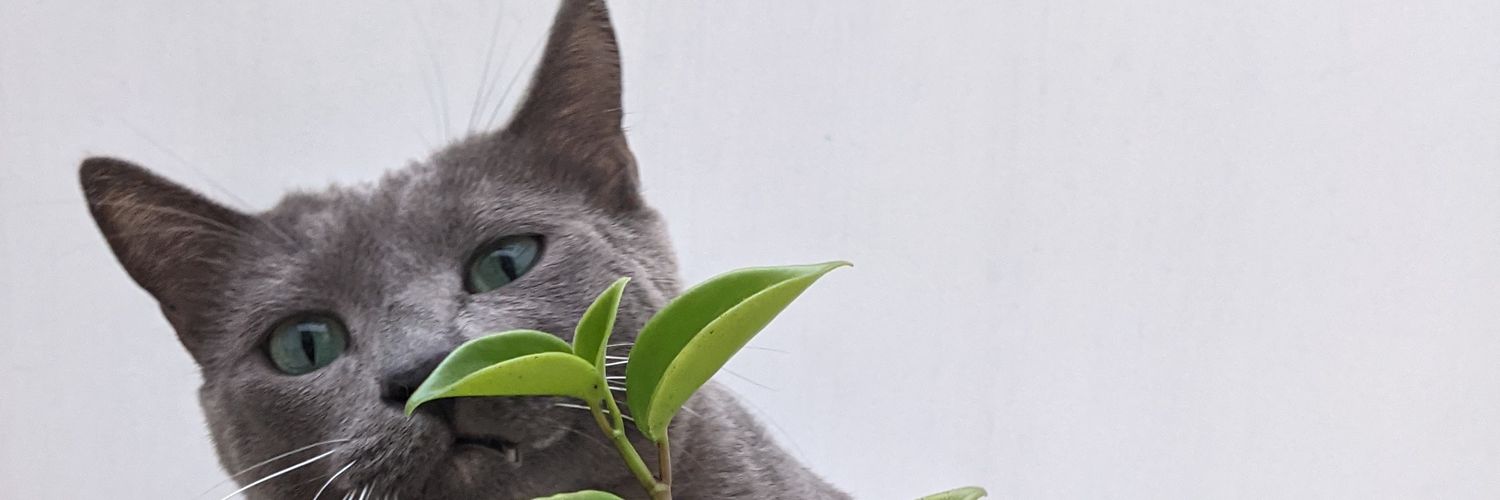 .(b)sura.(ó)rganica. banner