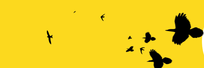 piarMEXICO's profile banner image