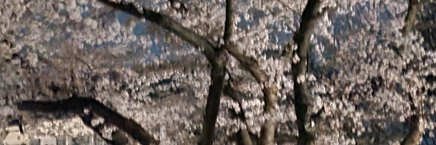 ByronDavid169's profile banner image