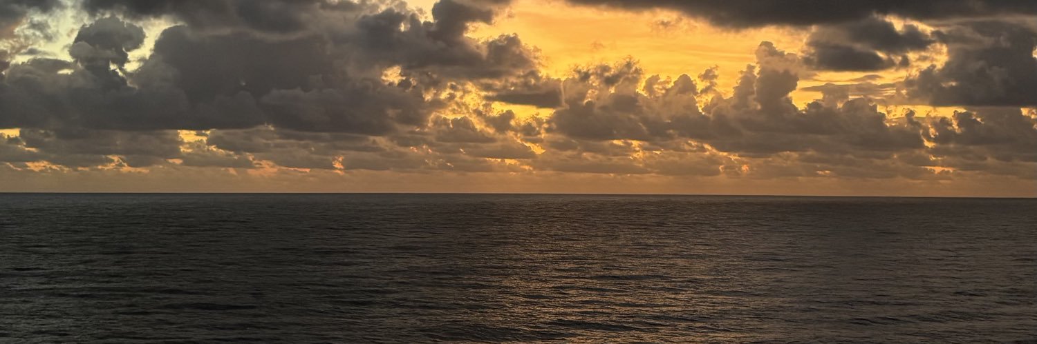 edryene_'s profile banner image