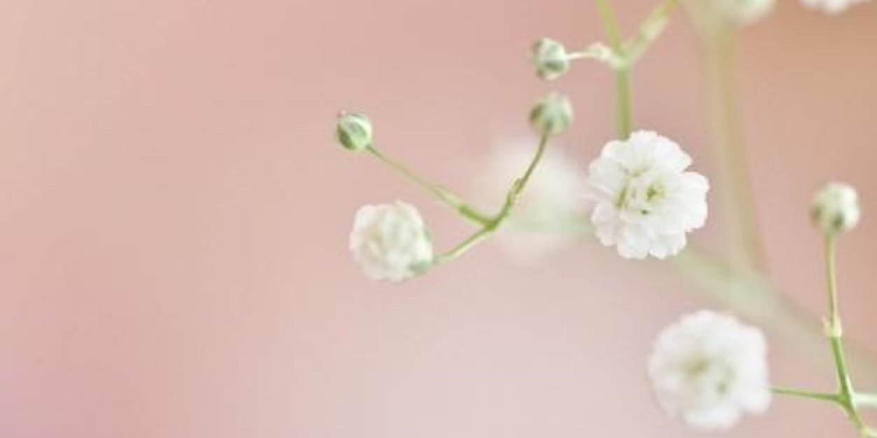 GooToota's profile banner image