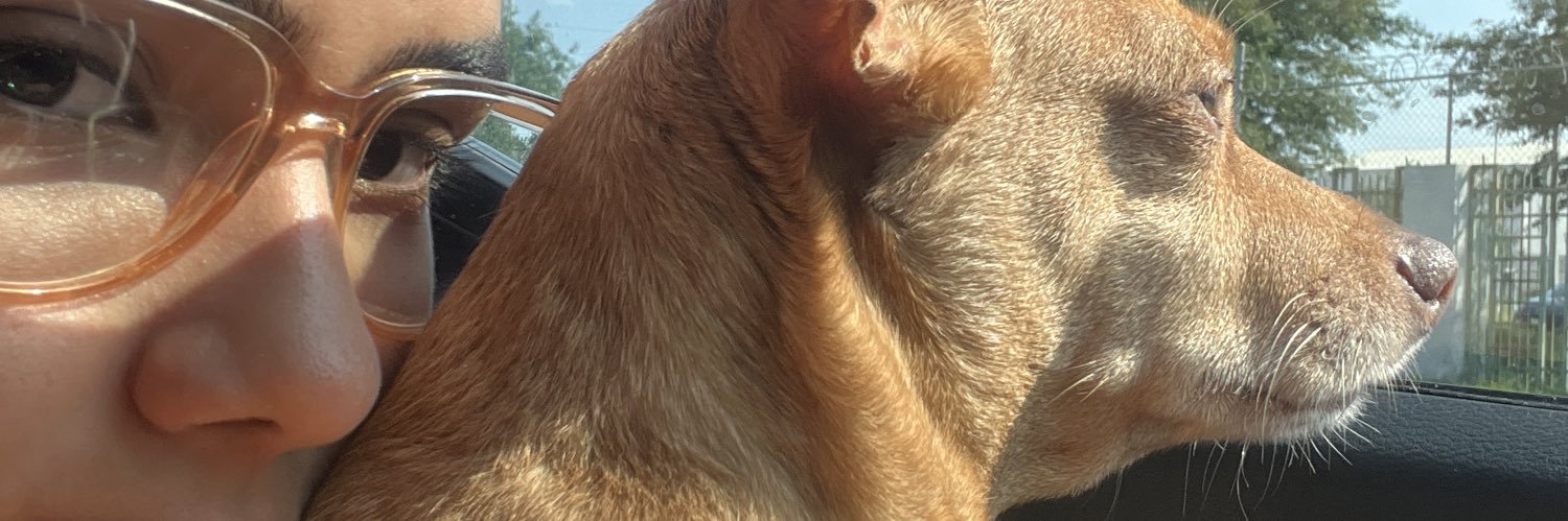 _rombaby's profile banner image