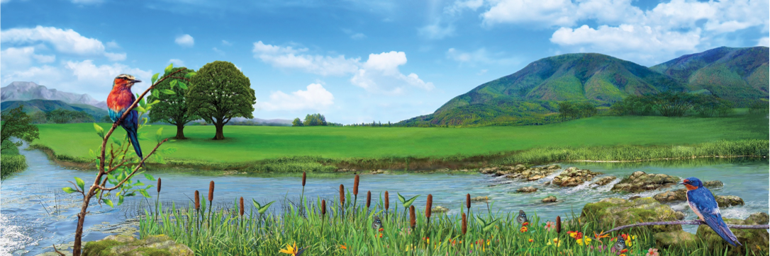 Natures Choice banner