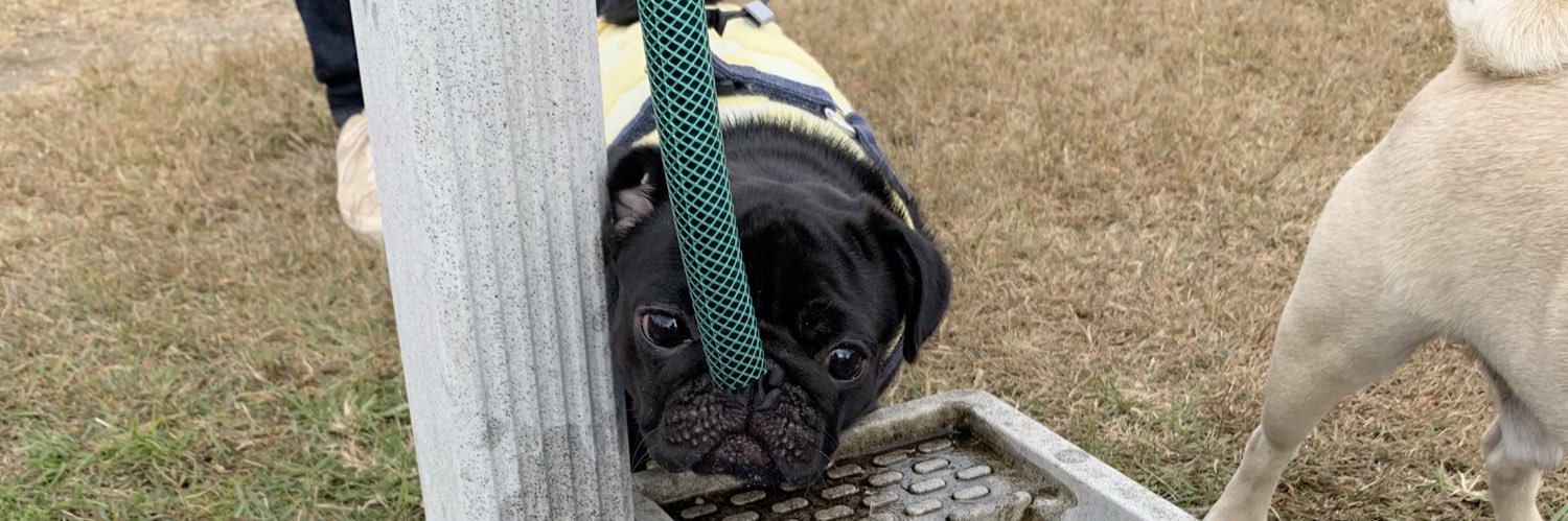 きなあられ banner