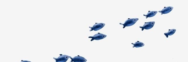 joki| SPSS & EVIEWS banner