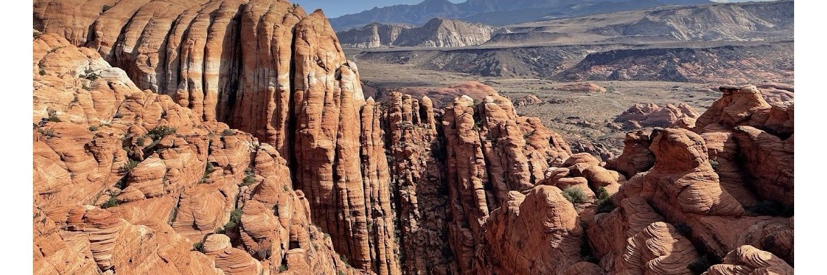 Desert Dreamer ⛪️🇺🇸 banner