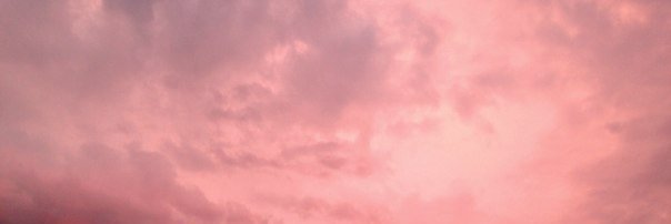 Olenka_Tre's profile banner image