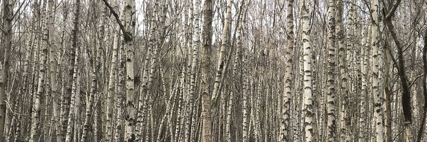 Neil Ward-Dutton banner