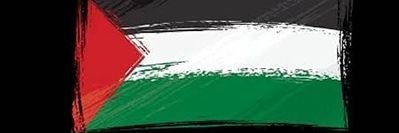 TerraPapi 🇵🇸 banner
