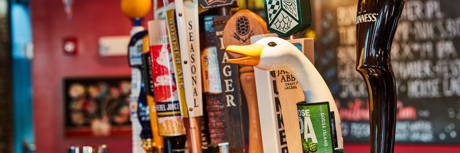 BellaLuna & MilkyWay banner