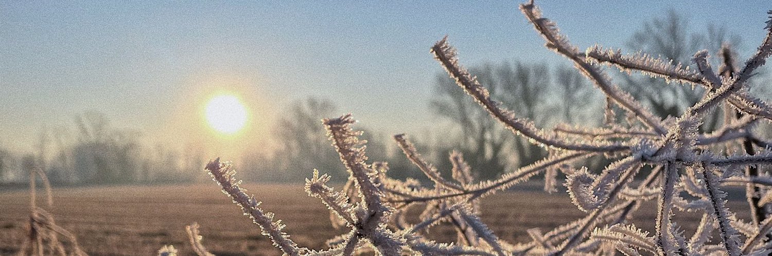 _Lallo_82's profile banner image