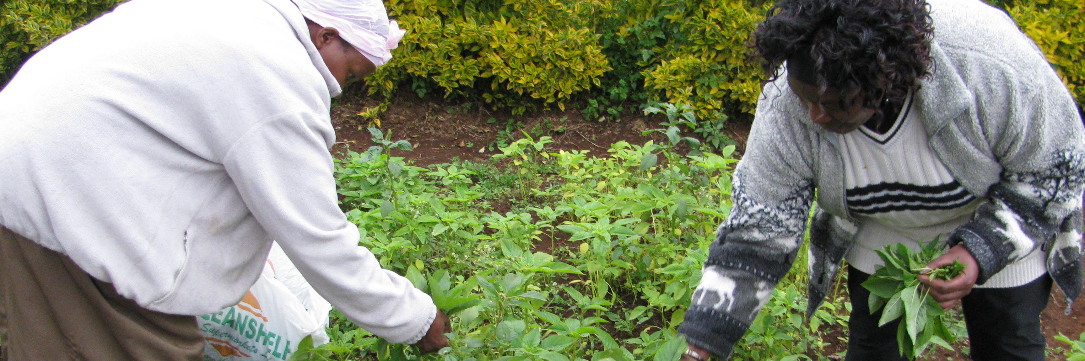 AgroBioDiverse banner