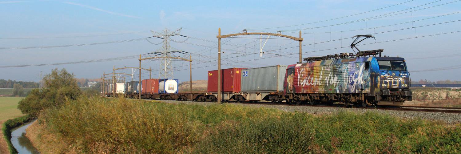 Stephan Breugelmans banner