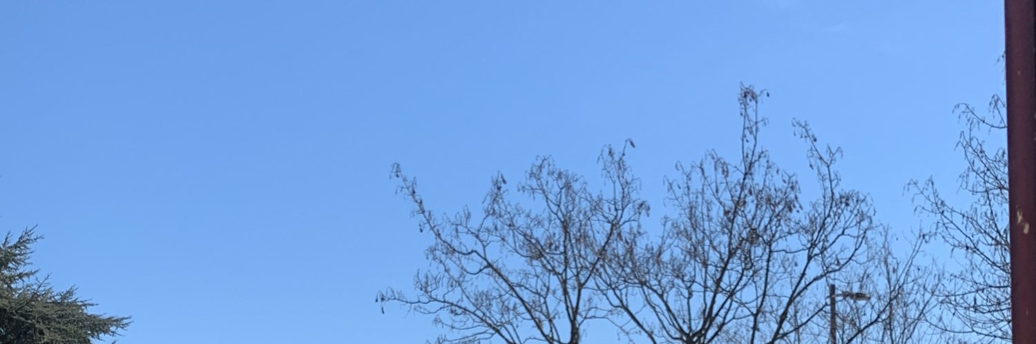 Fusilloboi's profile banner image