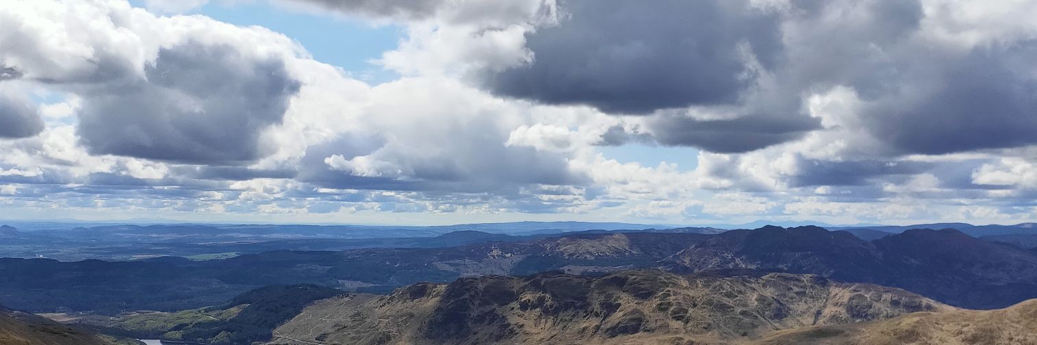 RhonaCallander banner