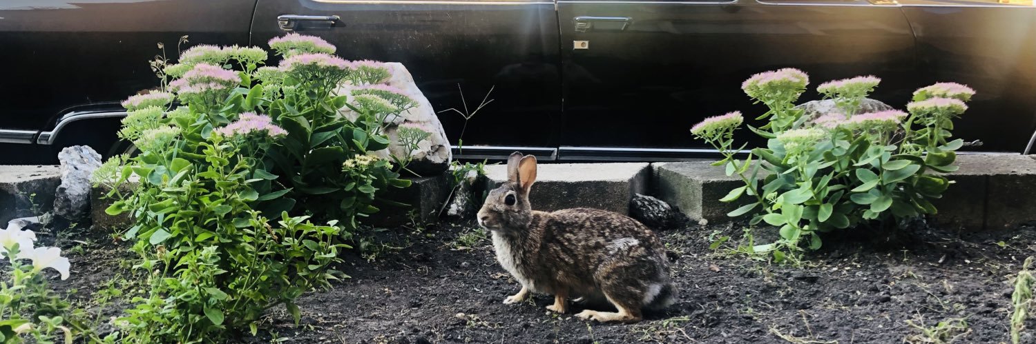 Grant Rosenberg banner