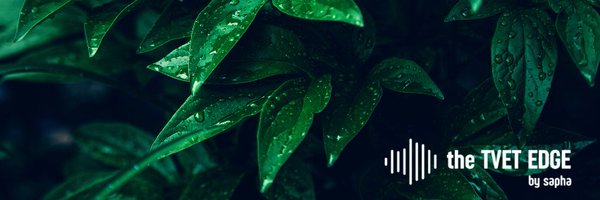 saphaelectrical Profile Banner