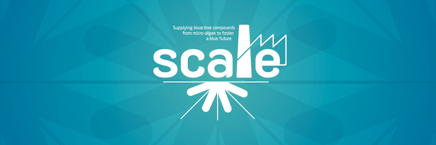 SCALE Project banner
