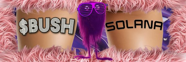 BushOnSolana Profile Banner
