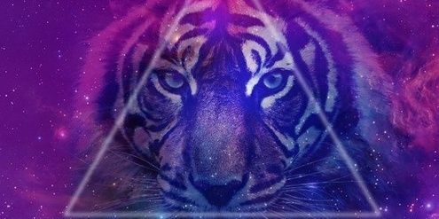feenneerrllii's profile banner image