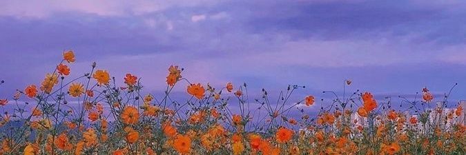 NatalyLomeli01's profile banner image