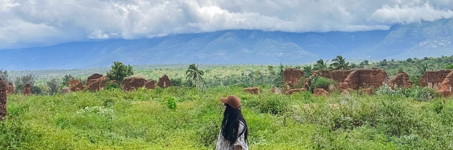 Dee (Taylor’s Version) banner