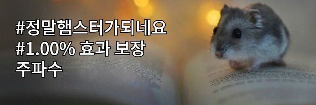 S0NGOFS0NG's profile banner image