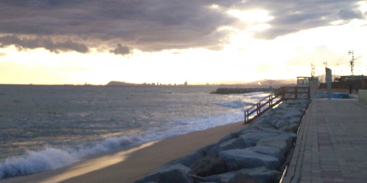 joancolomer6's profile banner image